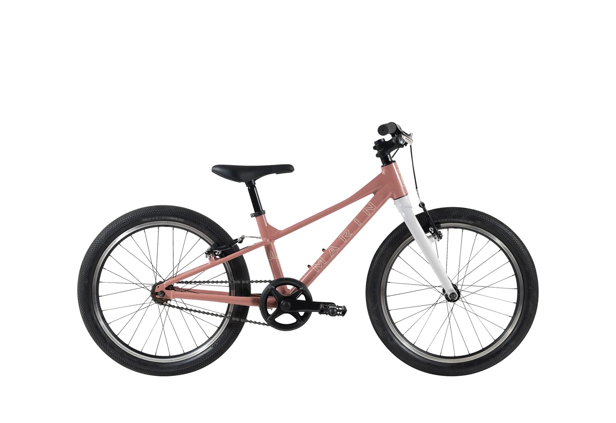 2025 Coast Trail 20" 1 - Image 3