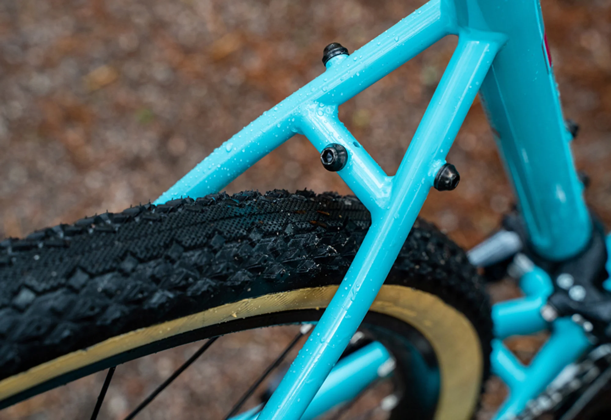 2024 Four Corners 1 - Image 5